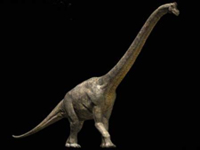 Brachiosaurus